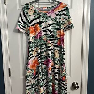 LuLaRoe Jessie Dress- Medium